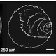 Stone et al./Physical Review Letters